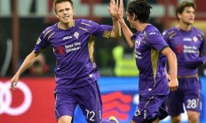 爱游戏体育直播-紫百合或搅动联赛格局