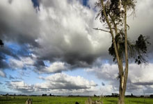 爱游戏体育下载-中超联赛第九轮：广州恒大迎战上海申花，中超广州恒大赛程表