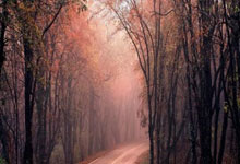 勇士队的阴影：当巨星陨落，王朝是否会就此谢幕？