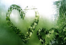 加拿大力量绽放:王曼丽斯闪耀体操女子全能赛场,银牌荣耀铸就新传奇