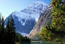 沃尔夫斯堡：钢铁意志的淬炼，胜利之师的锻造