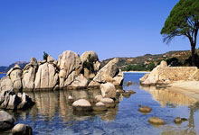 卢旺达代表团首次夺得金牌，激情无限