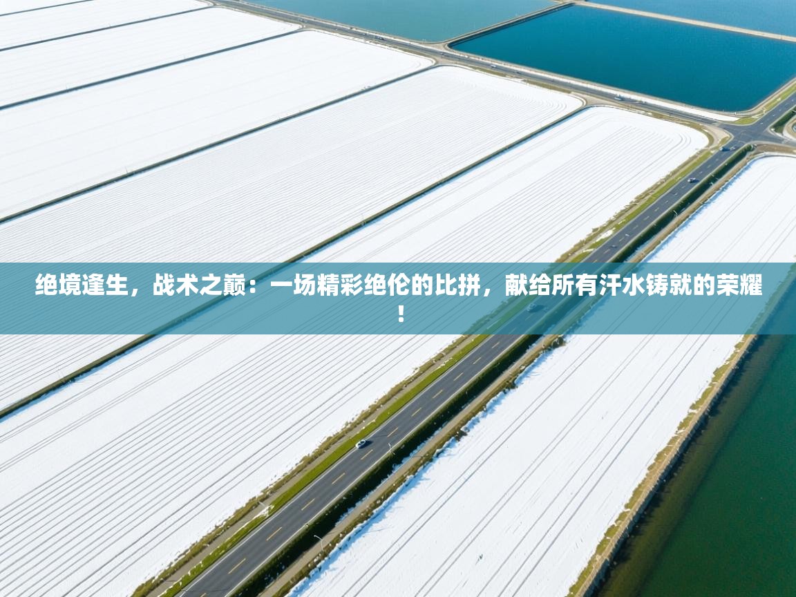 绝境逢生，战术之巅：一场精彩绝伦的比拼，献给所有汗水铸就的荣耀！  第2张
