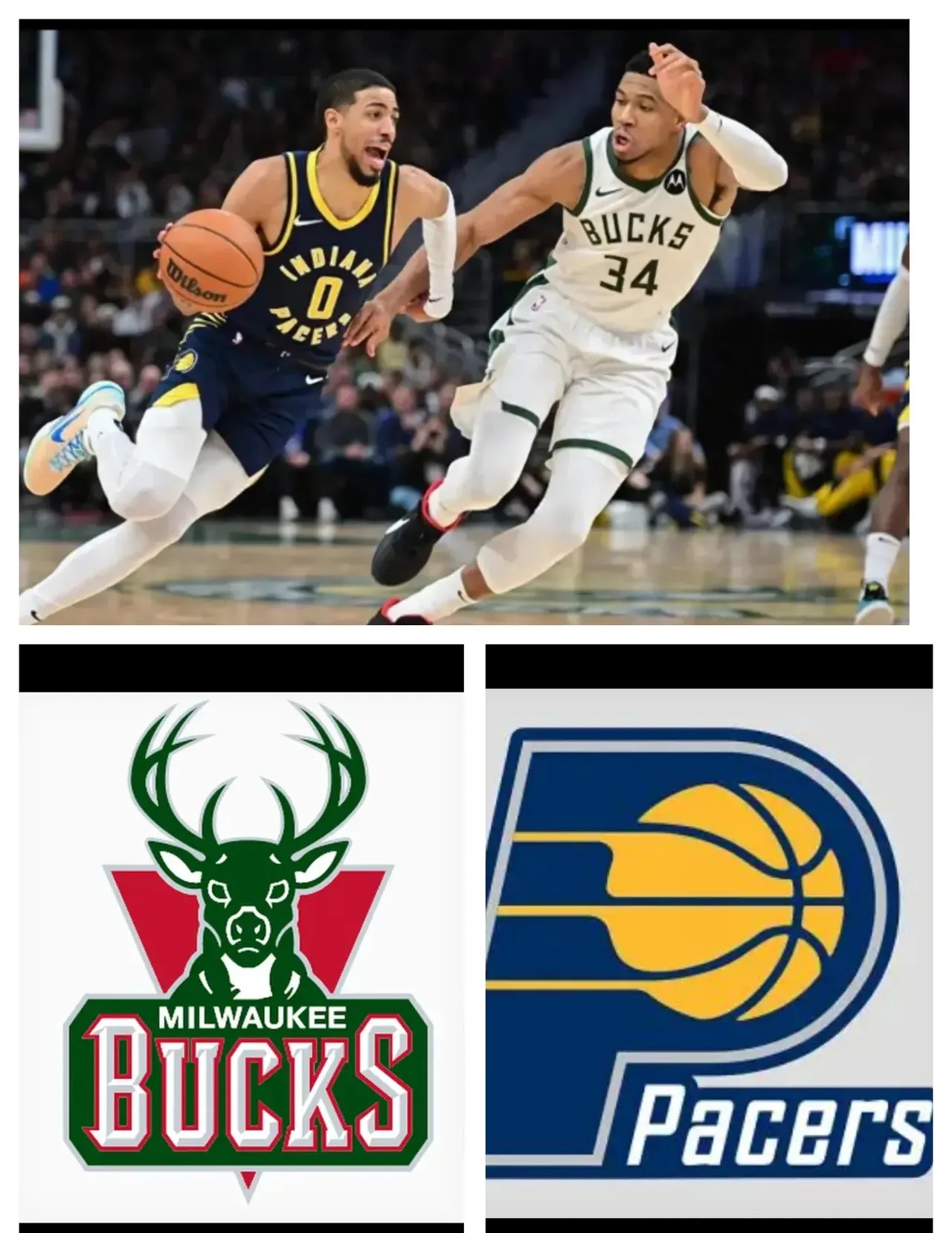 雄鹿胜开拓者,继续保持不败 雄鹿胜开拓者,继续保持不败